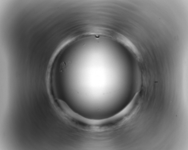 X0000096691138200802121227