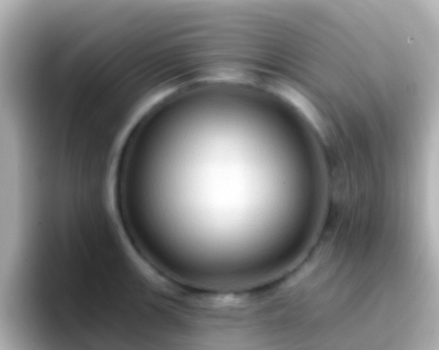 X0000096691139200802121227