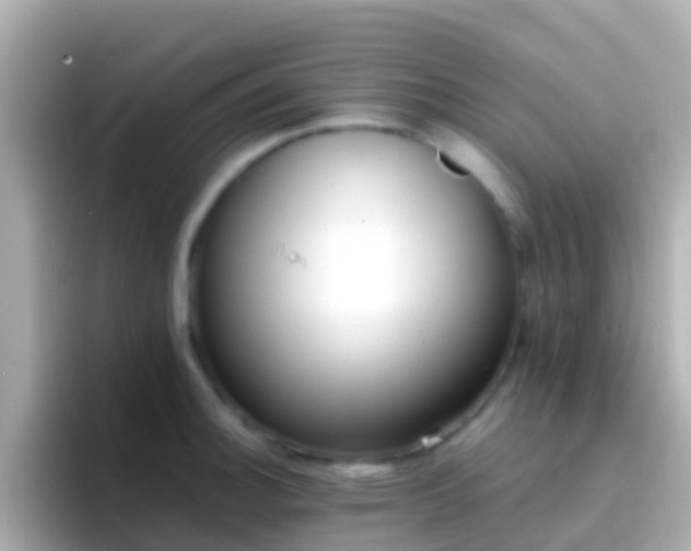 X0000096691140200802121227