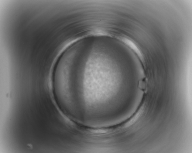 X0000096691141200802121227