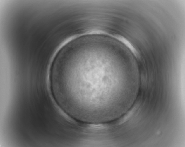 X0000096691142200802121227