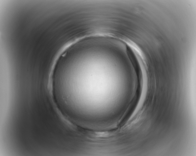 X0000096691144200802121227