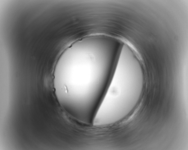 X0000096691145200802121227