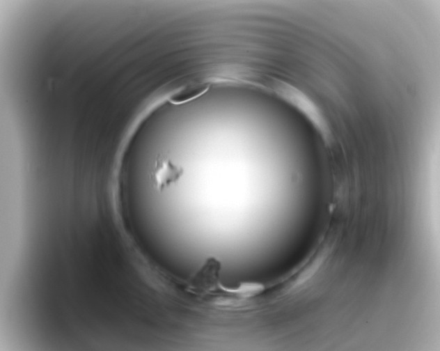 X0000096691146200802121227