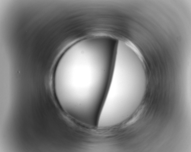 X0000096691149200802121227