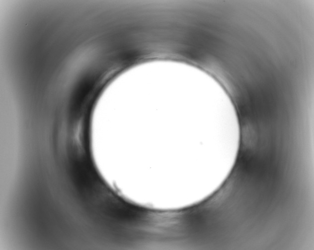 X0000096691150200802121227