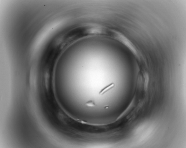 X0000096691151200802121227