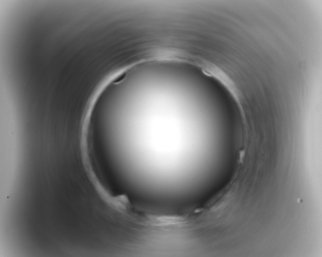 X0000096691152200802121227