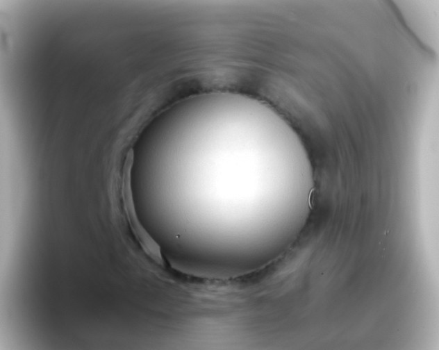 X0000096691153200802121226