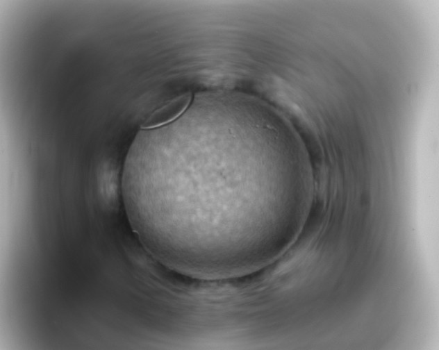 X0000096691154200802121226