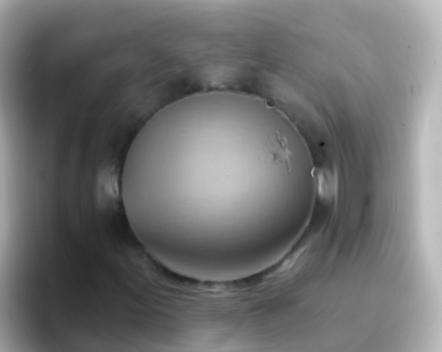 X0000096691155200802121226