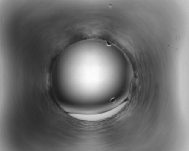 X0000096691156200802121226