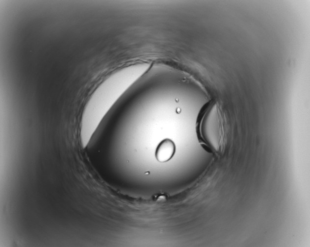 X0000096691157200802121226