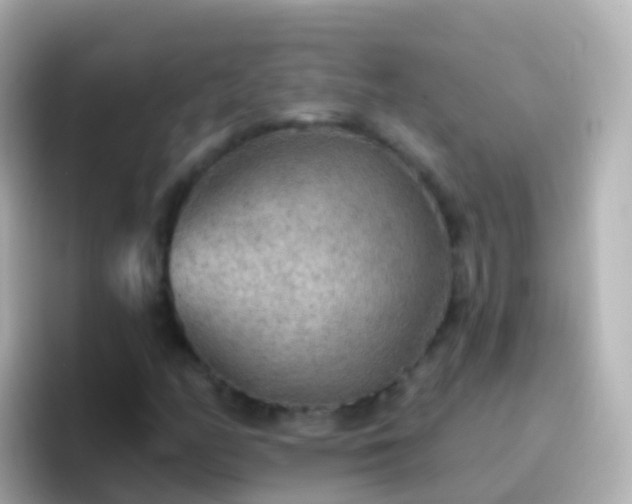 X0000096691158200802121226