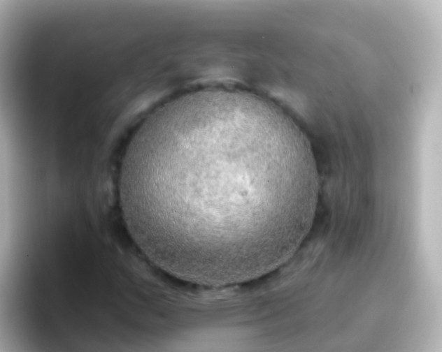 X0000096691159200802121226