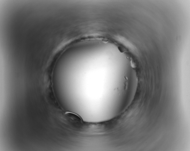 X0000096691160200802121226