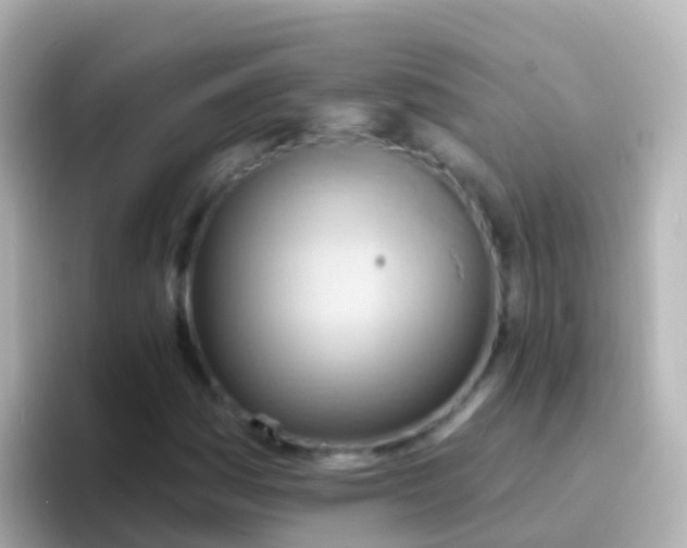 X0000096691161200802121226