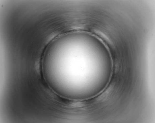 X0000096691162200802121226