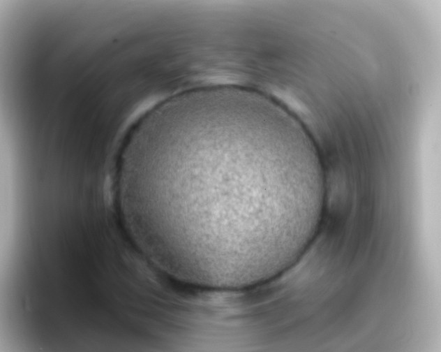 X0000096691163200802121226