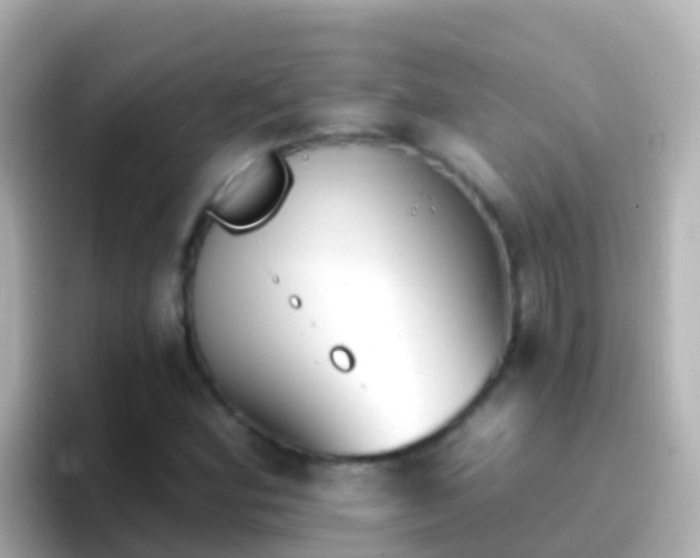 X0000096691164200802121226