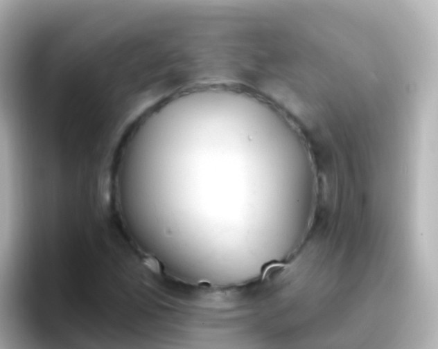 X0000096691165200802121226