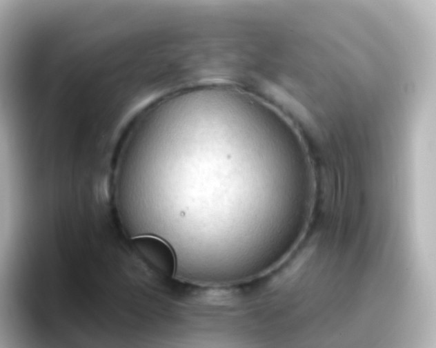 X0000096691166200802121226