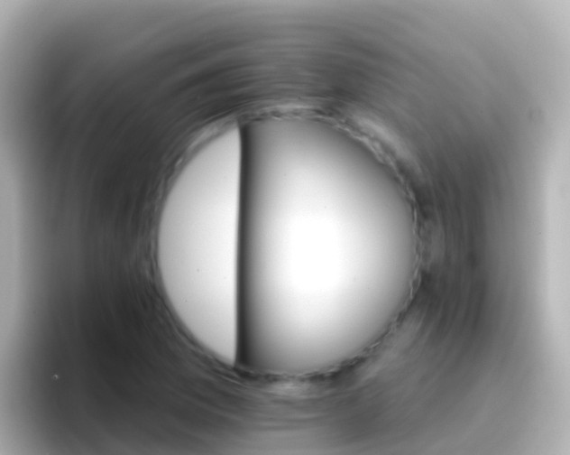 X0000096691169200802121226