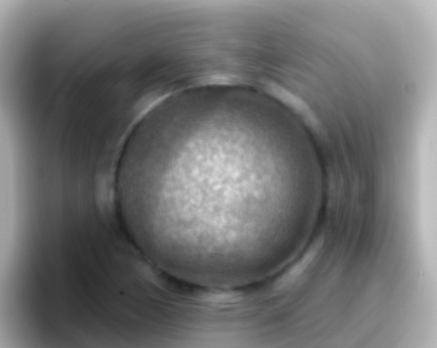 X0000096691170200802121226