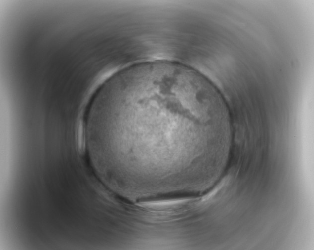 X0000096691171200802121226