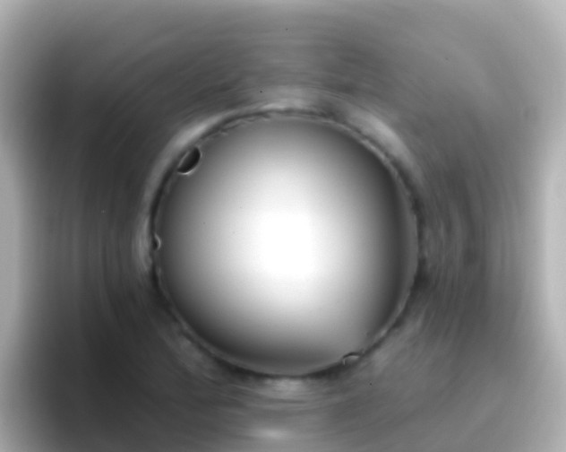 X0000096691172200802121226