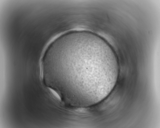 X0000096691175200802121226