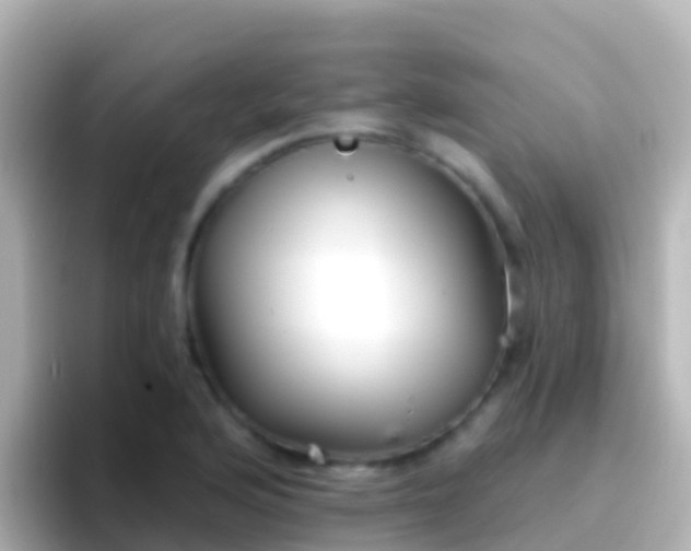 X0000096691176200802121226