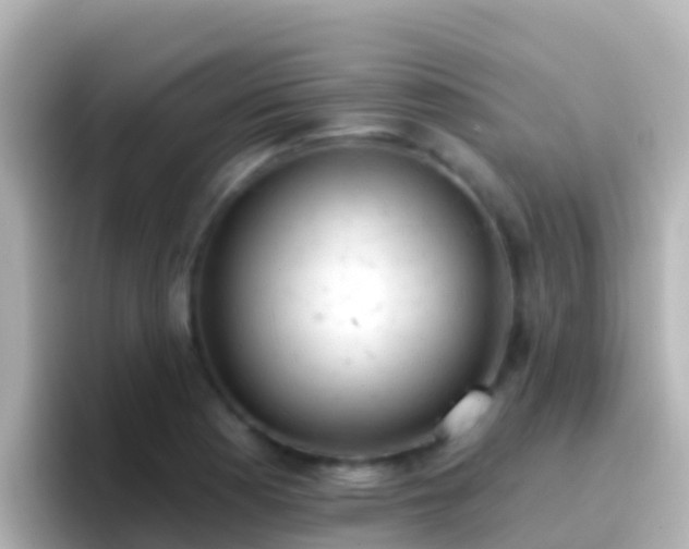 X0000096691177200802121226