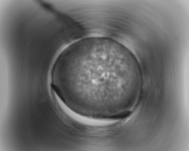 X0000096691179200802121226