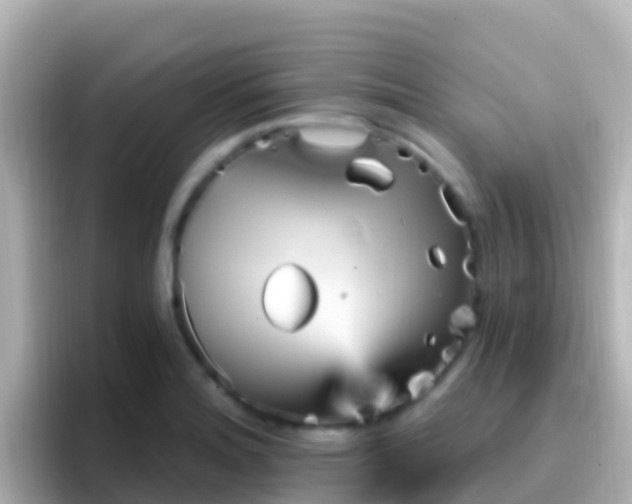 X0000096691180200802121226