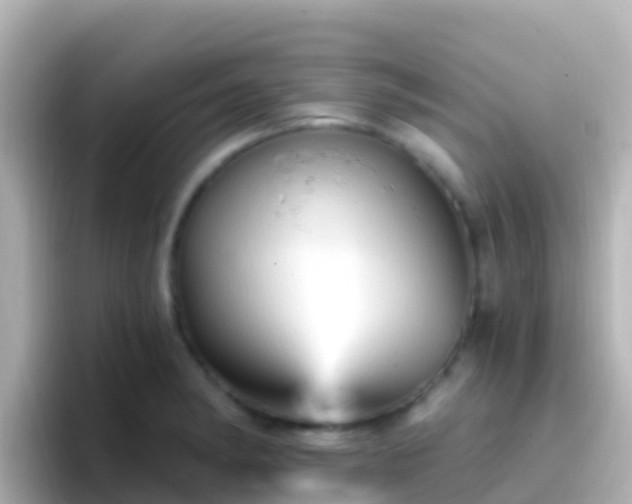 X0000096691182200802121226