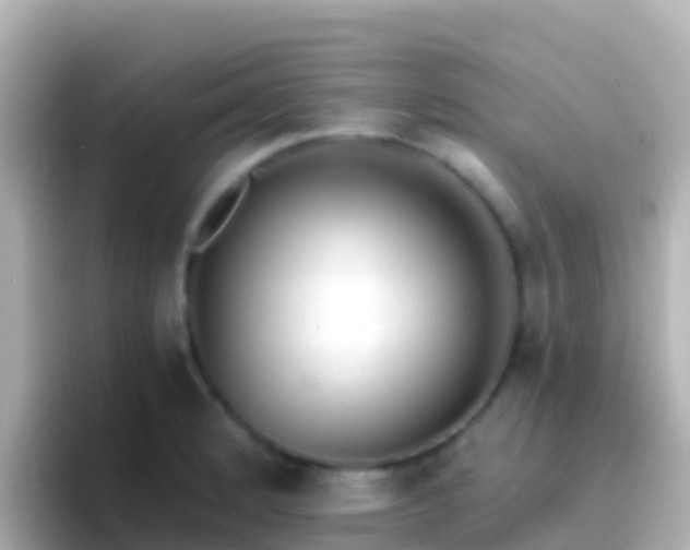 X0000096691184200802121226