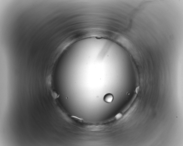 X0000096691185200802121226