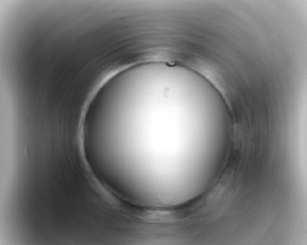 X0000096691187200802121226