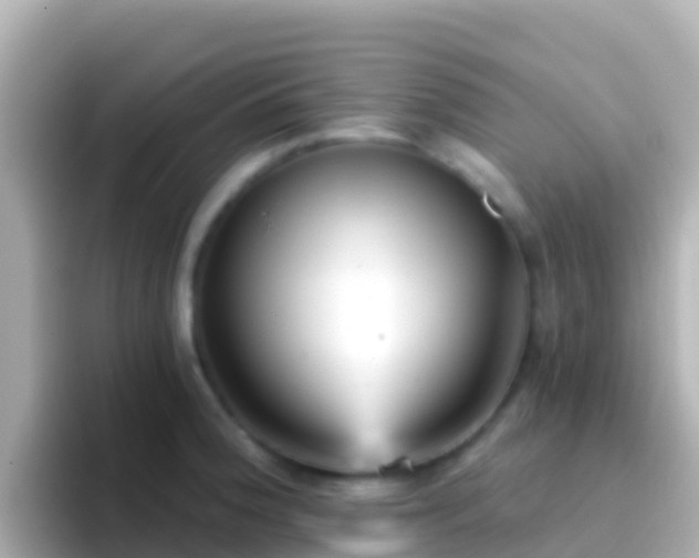 X0000096691188200802121226