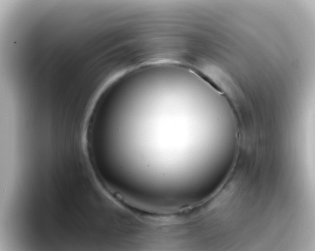 X0000096691189200802121226