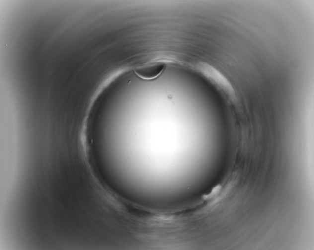 X0000096691190200802121226