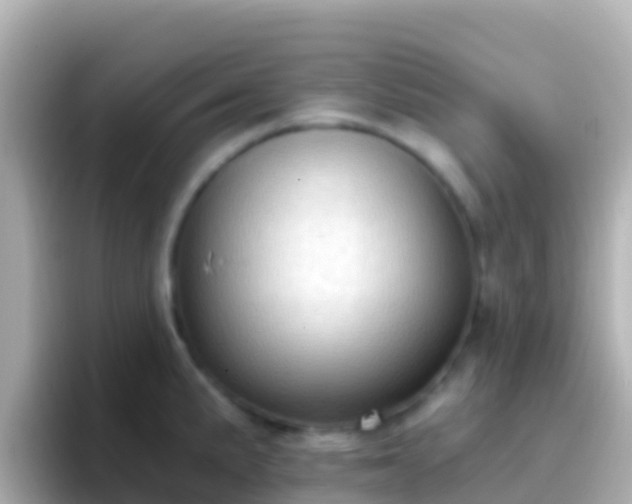 X0000096691191200802121226