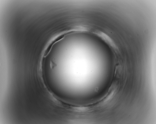 X0000096691192200802121226