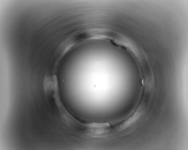 X0000096691193200802121226