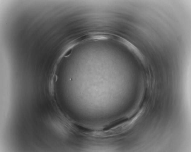 X0000096691194200802121226