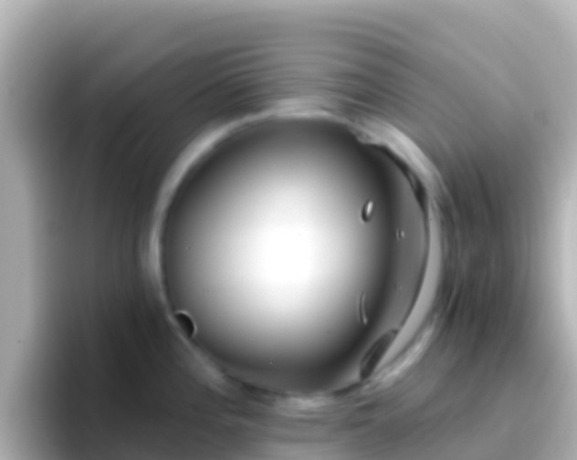 X0000096691196200802121226