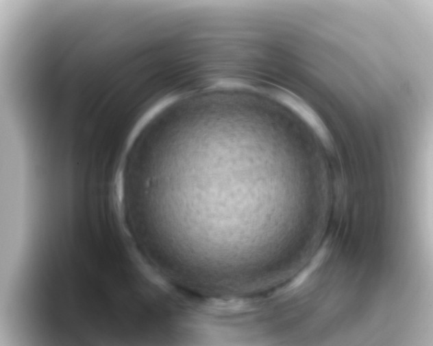 X0000096691198200802121226