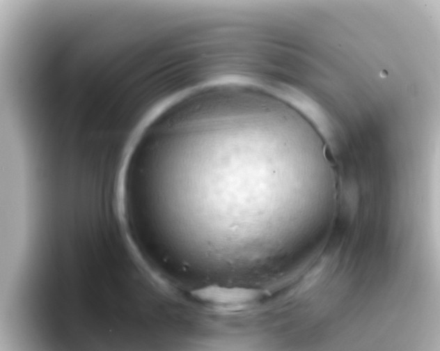 X0000096691199200802121226