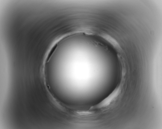 X0000096691200200802121226